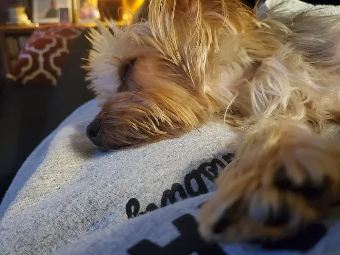 Animal Care Center of Fairfield 6