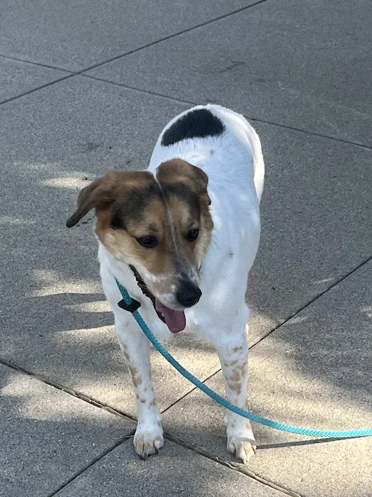 Animal Care Center of Fairfield 7