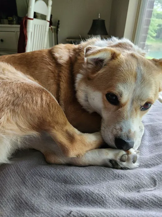 Animal Care Center of Fairfield 10