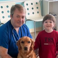 Misty Vistas Pet Hospital ico