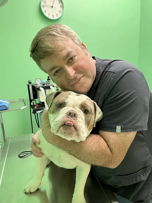 Misty Vistas Pet Hospital 12