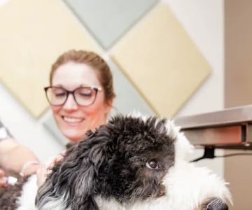 Camargo Animal Hospital
