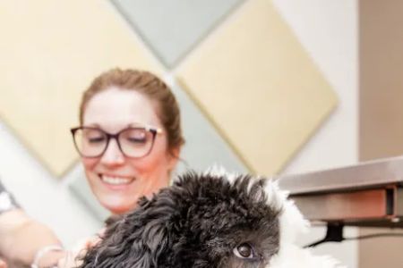 Camargo Animal Hospital