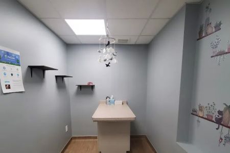 Pleasant Ridge Cat Care Clinic