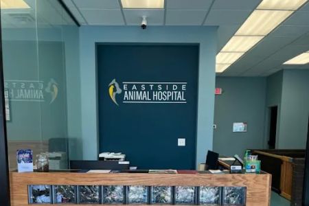 Eastside Animal Hospital