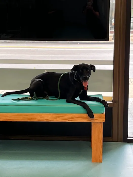 Eastside Animal Hospital 7