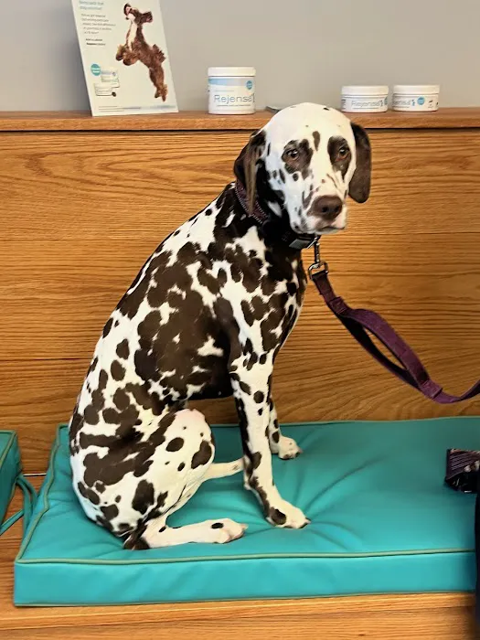 Eastside Animal Hospital 5
