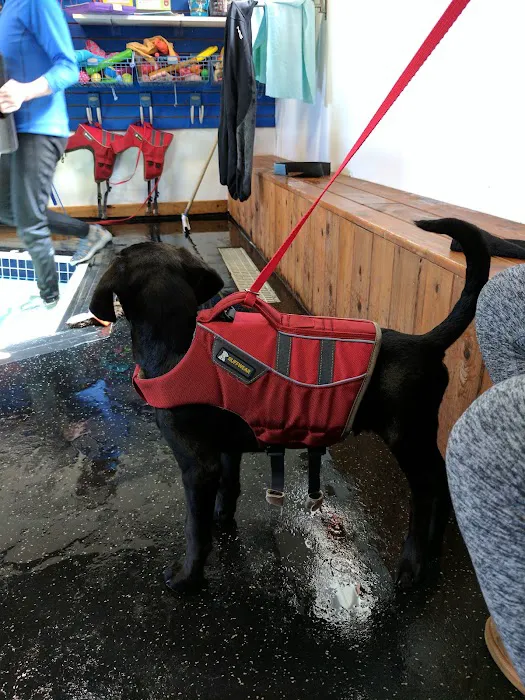 k9 Waves 2