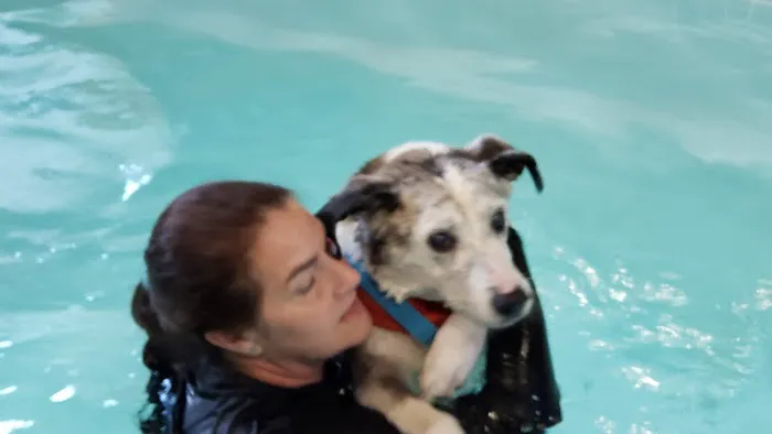 k9 Waves 3
