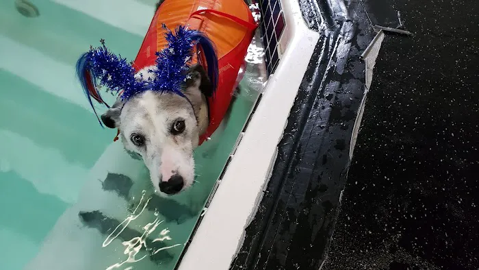 k9 Waves 4