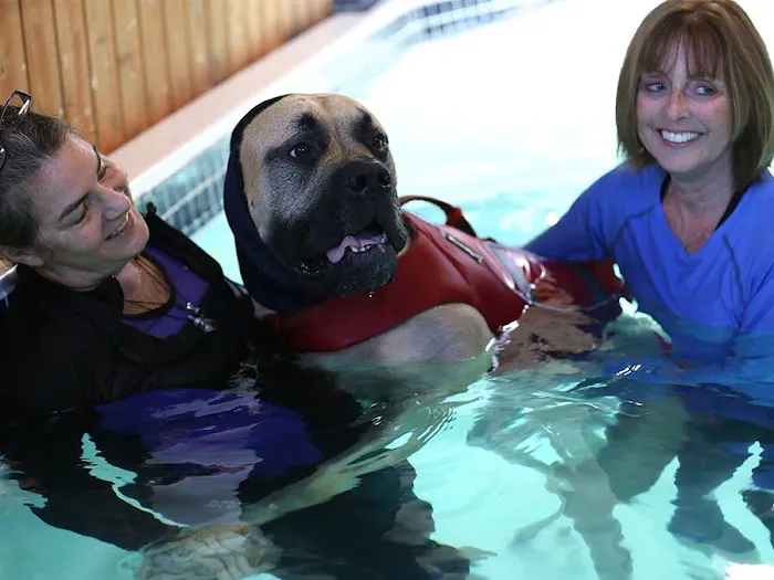 k9 Waves 5