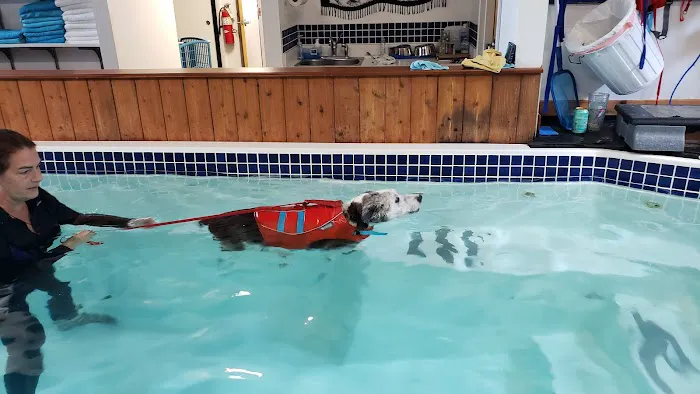 k9 Waves 9