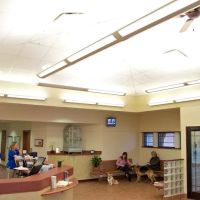 Grady Veterinary Hospital ico