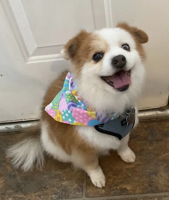 Grady Veterinary Hospital 12