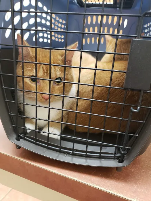 Grady Veterinary Hospital 12