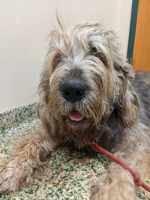 Animal Care Center of Forest Park 12