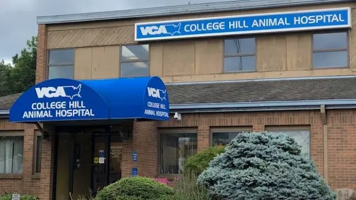 VCA College Hill Animal Hospital 2