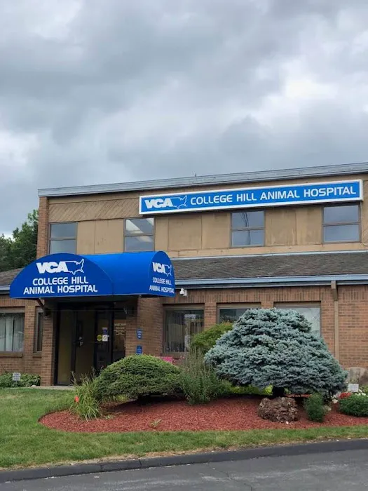 VCA College Hill Animal Hospital 3