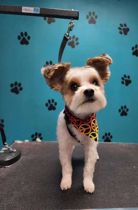 VCA College Hill Animal Hospital 5