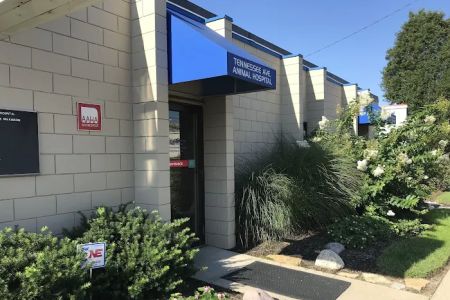 Tennessee Avenue Animal Hospital