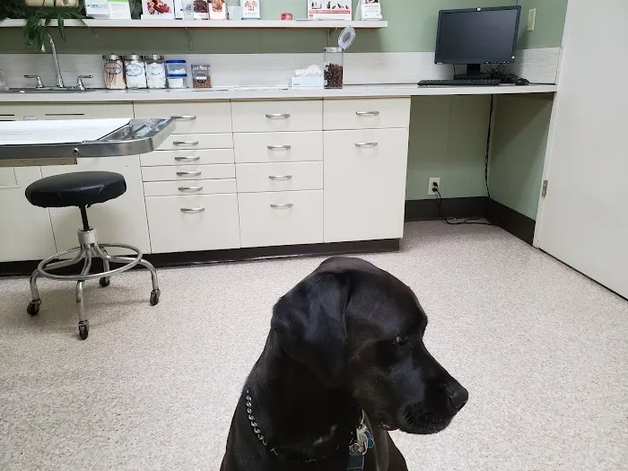 Tennessee Avenue Animal Hospital 12
