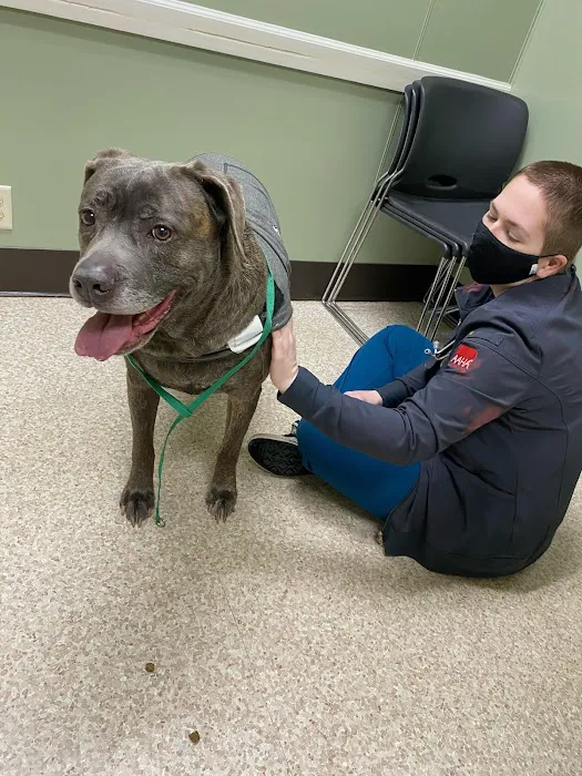 Tennessee Avenue Animal Hospital 12