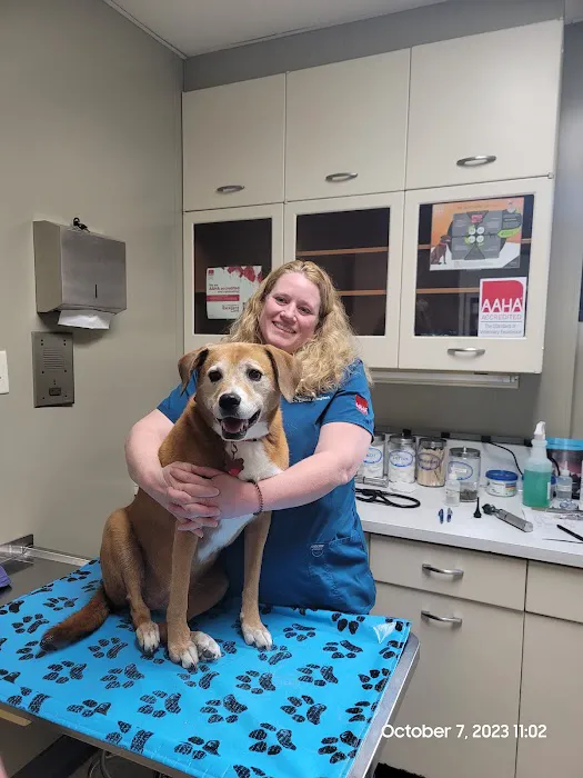 Tennessee Avenue Animal Hospital 12