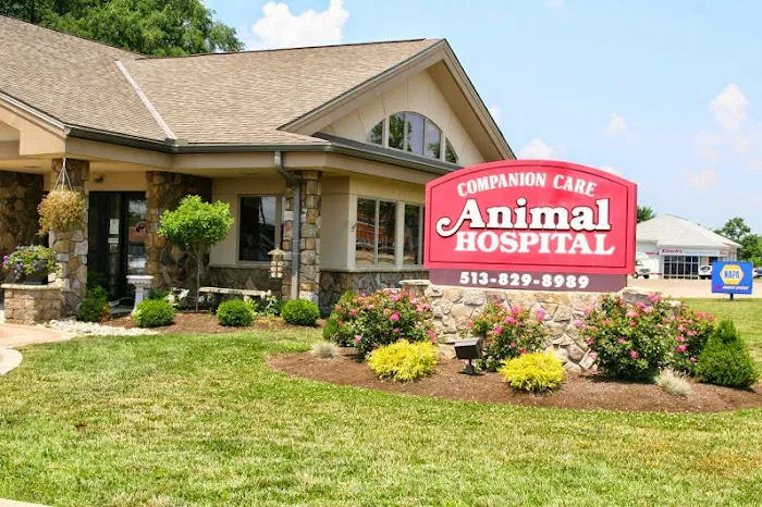 Companion Care Animal Hospital 3