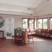 Companion Care Animal Hospital ico
