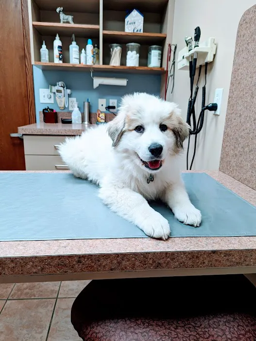 Companion Care Animal Hospital 5