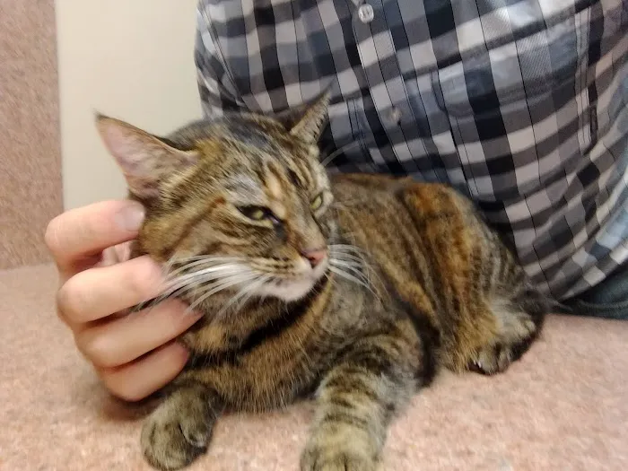 Companion Care Animal Hospital 7