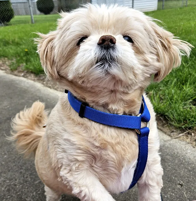 Companion Care Animal Hospital 9