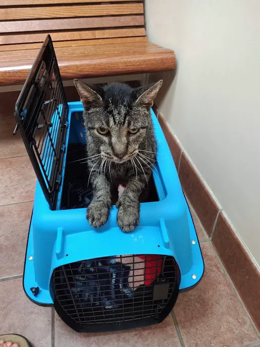 Companion Care Animal Hospital 8