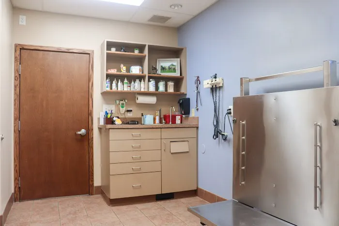 Companion Care Animal Hospital 10