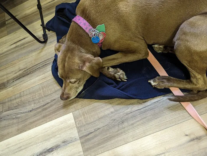 Little Miami Veterinary Services 8