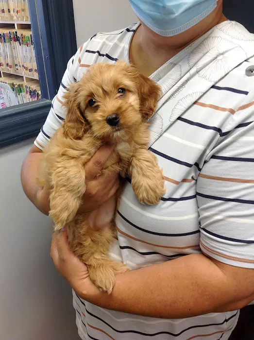 Companion Animal Medical Centre 12