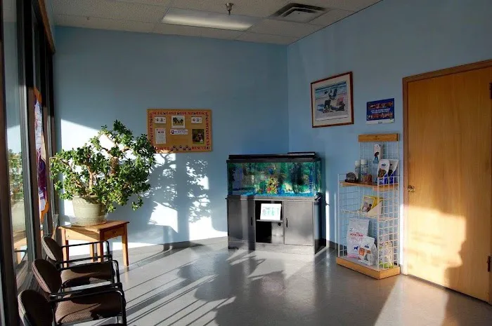 Gallardo Family Animal Hospital 3