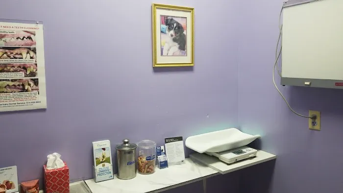 Gallardo Family Animal Hospital 7