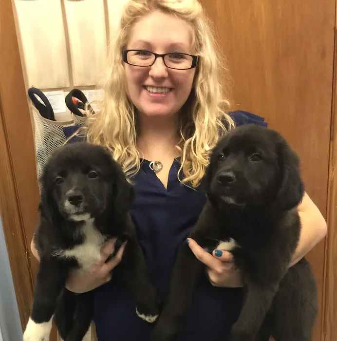 Gallardo Family Animal Hospital 6