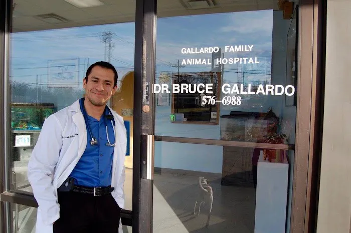 Gallardo Family Animal Hospital 9