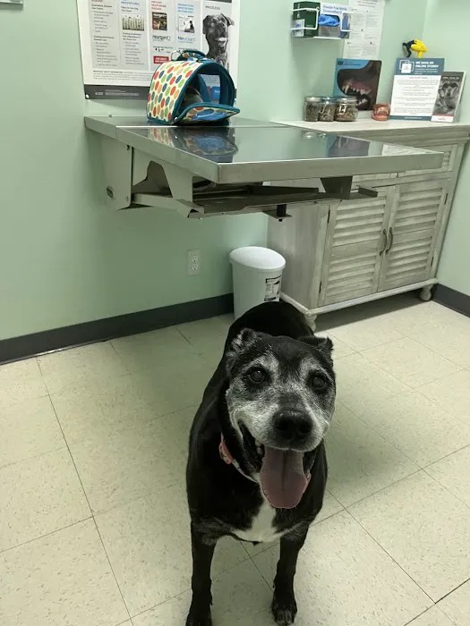 Gallardo Family Animal Hospital 10