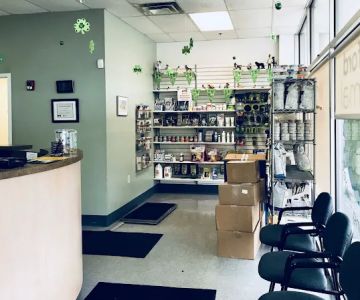 Milford Animal Hospital