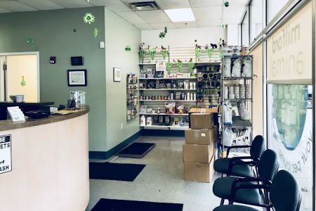 Milford Animal Hospital
