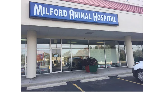 Milford Animal Hospital 2