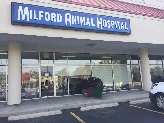Milford Animal Hospital 3
