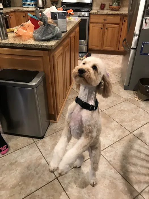 Milford Animal Hospital 5