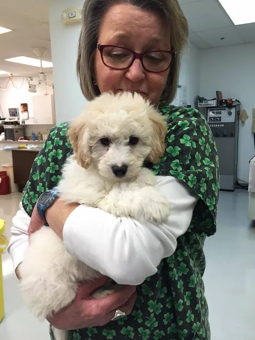Milford Animal Hospital 10