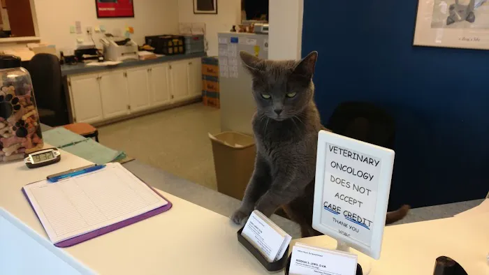 Veterinary Oncology & Referral 12