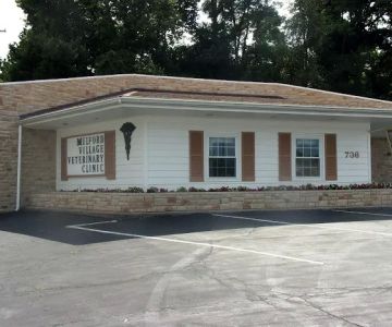 Milford Village Veterinary Clinic