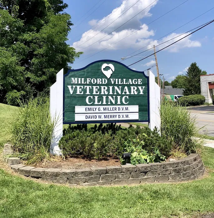 Milford Village Veterinary Clinic 12